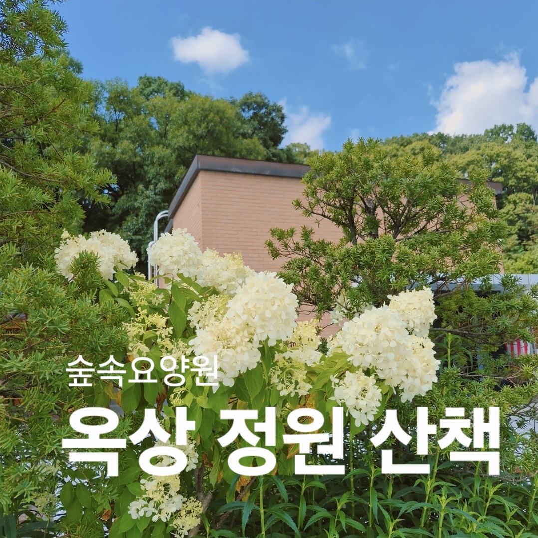 숲속요양원- 옥상 정원 산책 & 전래동화 (맞춤프로그램) & 한자 활동
