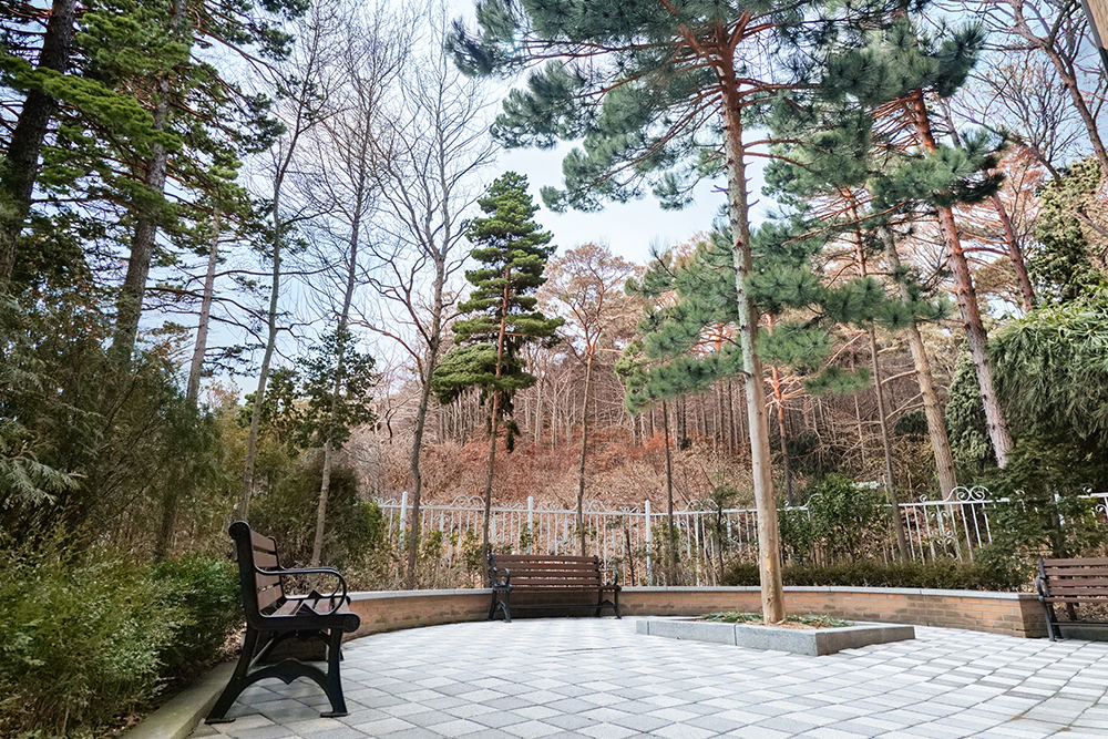 도심 속 자연환경 이미지 자리